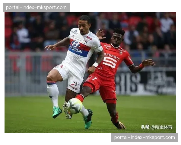 尼斯主场草坪因连续降雨受损,赛前紧急维护工作正在进行 尼斯主场草坪因连续降雨受损,赛前紧急维护工作正在进行